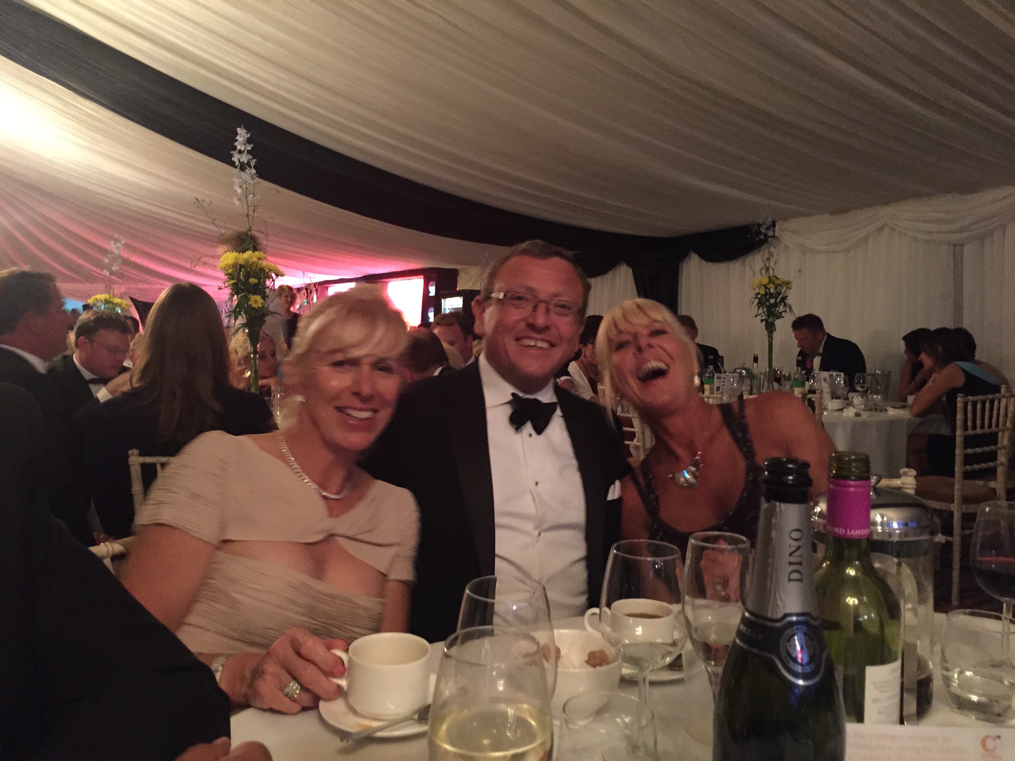 Hickstead Ball 2015