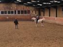 Training with Arthur Kottas at Oec Dressage Worldwide 2016