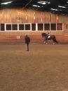 Training with Arthur Kottas at Oec Dressage Worldwide 2016