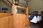 Oec Dww Stables