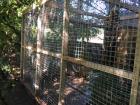 Morley Manor Aviary